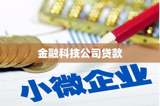 青州金融科技公司贷款