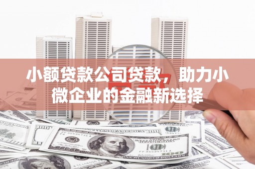 青州小额贷款公司贷款，助力小微企业的金融新选择