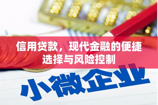 青州信用贷款，现代金融的便捷选择与风险控制