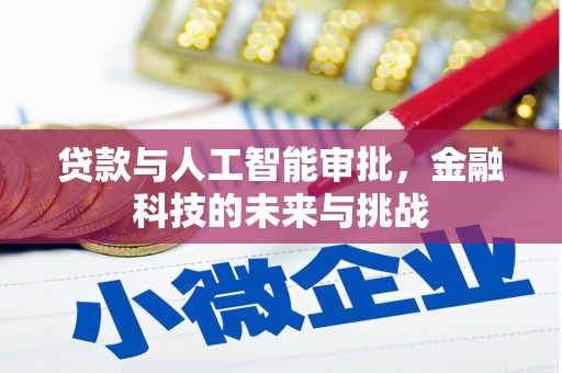 青州贷款与人工智能审批，金融科技的未来与挑战