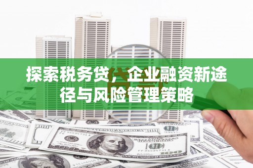青州探索税务贷，企业融资新途径与风险管理策略