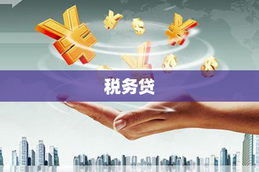 青州税务贷