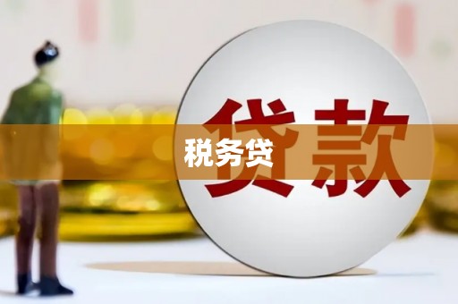 青州税务贷