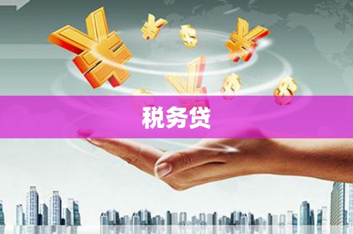 青州税务贷