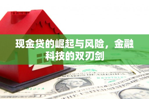 青州现金贷的崛起与风险，金融科技的双刃剑