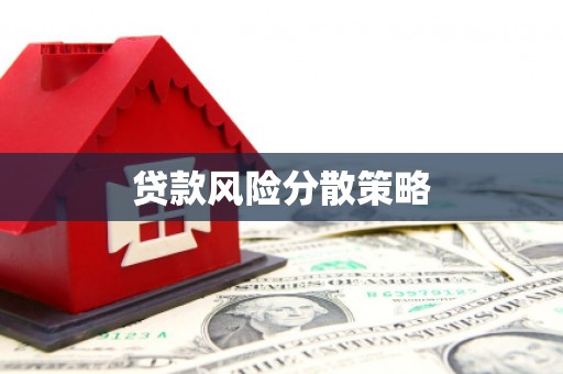 青州贷款风险分散策略