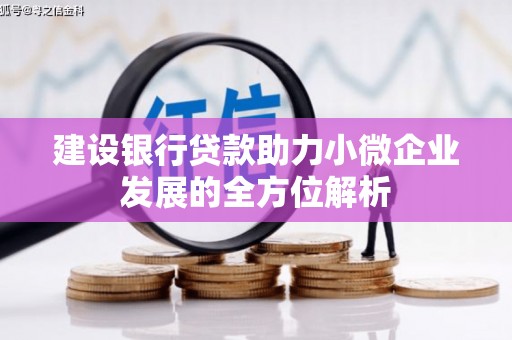青州建设银行贷款助力小微企业发展的全方位解析