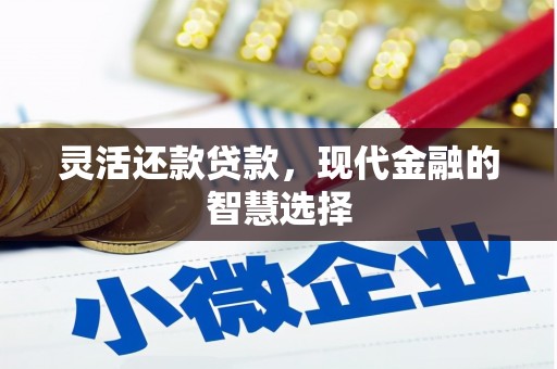 青州灵活还款贷款，现代金融的智慧选择