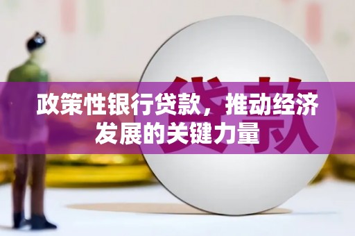 青州政策性银行贷款，推动经济发展的关键力量
