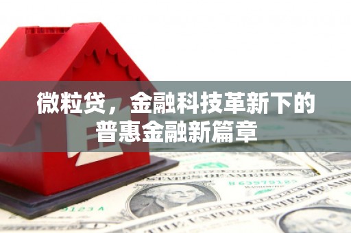 青州微粒贷，金融科技革新下的普惠金融新篇章