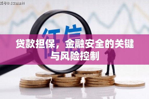 青州贷款担保，金融安全的关键与风险控制