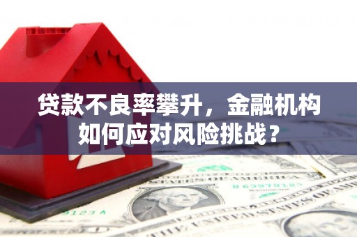 青州贷款不良率攀升，金融机构如何应对风险挑战？
