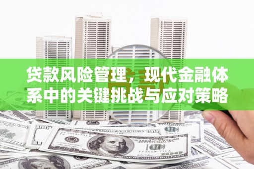 青州贷款风险管理，现代金融体系中的关键挑战与应对策略