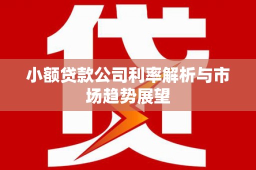 青州小额贷款公司利率解析与市场趋势展望