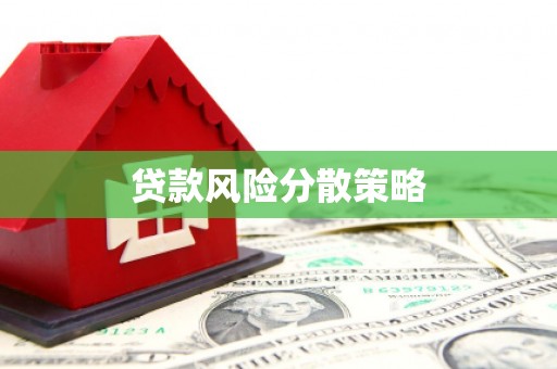 青州贷款风险分散策略