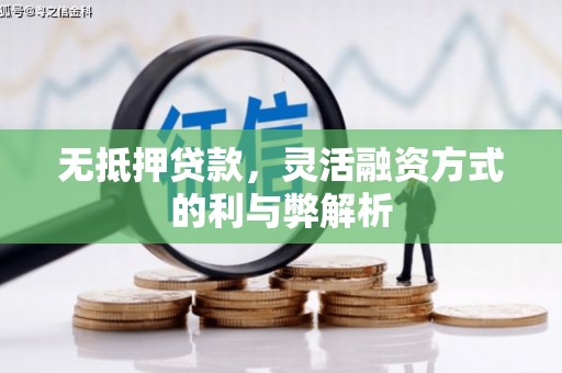 青州无抵押贷款，灵活融资方式的利与弊解析