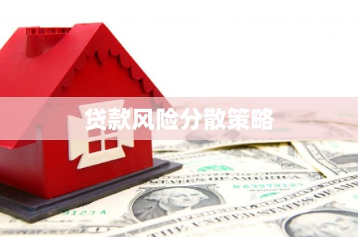青州贷款风险分散策略