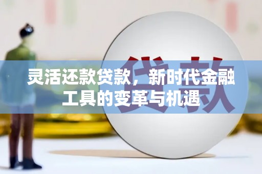 青州灵活还款贷款，新时代金融工具的变革与机遇
