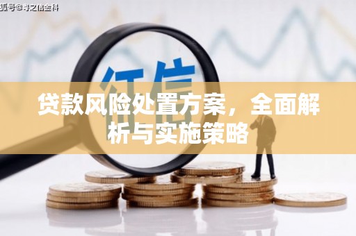 青州贷款风险处置方案，全面解析与实施策略